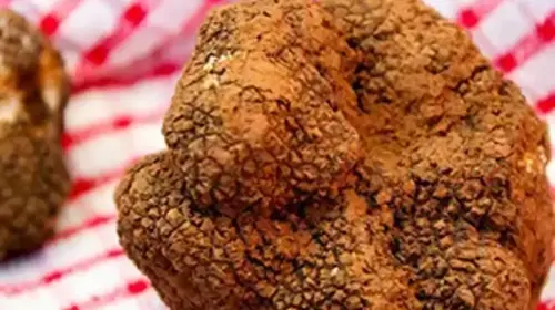 Fête de la Truffe de Sarlat